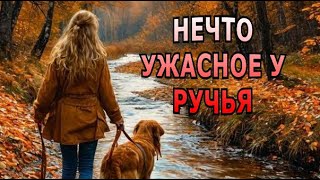 quotНечто возле ручьяquot Мистический рассказ [upl. by Vincenty]