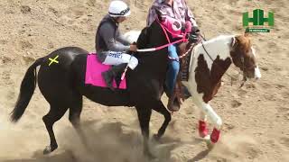 Carreras de Caballos 25 de Febrero 2024 en el Hipódromo de Hermosillo [upl. by Nanaj268]