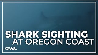 Man comes face to face with great white shark off Oregon Coast [upl. by Seravat233]