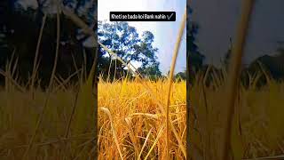 kheti se bada koi Bank nahin farming youtubeshort ytshorts GayatritoppoToppo45 [upl. by Neukam542]