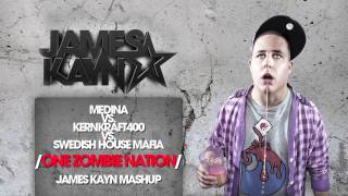 Medina vs Kernkraft400 vs Swedish House Mafia  One Zombie Nation James Kayn Mashup [upl. by Ebenezer271]