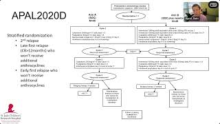 074 Novel venetoclax combinations for relapsed pediatric leukemial [upl. by Arymas]