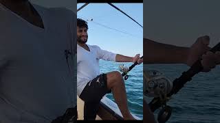 ABU DHABI Kingfish Tournament بطوله صيد الجنعد fishing kingfish fish sea ocean offshore [upl. by Samara]