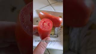 tomato tomatoes Tomato Varieties You Need To Know  San Marzano Tomatoes  Italian Tomatoes [upl. by Nihsfa]