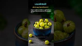 Benefits of Indian Gooseberry gooseberry benefits tamizhantips [upl. by Herring]