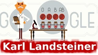 Karl Landsteiner Google Doodle Karl Landsteiner is the Father of Transfusion Medicine [upl. by Nosam622]