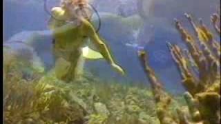 Caribbean Mermaid Diver [upl. by Esbensen]