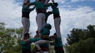 20241205 CASTELLERS A LA FESTA MAJOR DEL GUINARDÓ [upl. by Anauqal]