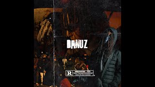 Gereex X Danuz Gdd  DANUZ Official Video [upl. by Atnomed]