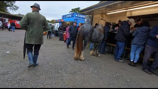 Horse Ordering Fish and Chips at Ballinasloe Horse Fair [upl. by Sorilda]