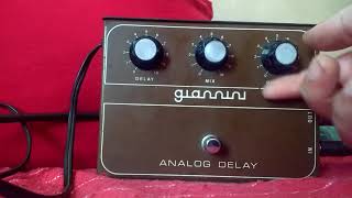 Vintage Analog Delay Giannini anos 70 [upl. by Ozzy673]