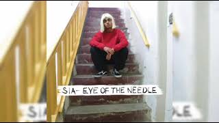 Sia  Eye of the Needle Demo Version [upl. by Direj]