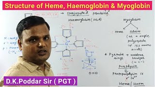 Structure of HaemoglobinMyoglobinHemePorphyrinProtoporphyrin lXConjugated ProteinsBiochemistry [upl. by Kcirdneked]