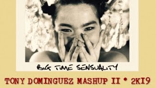 Bjork  Big Time Sensuality Tony Dominguez Mash 2K19 Part II [upl. by Yssac]