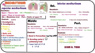 16Mediastinum  Anatomy and contents [upl. by Eeb566]