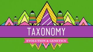 Taxonomy Lifes Filing System  Crash Course Biology 19 [upl. by Areip]