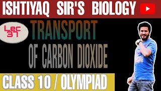 Transport of carbon dioxide [upl. by Eduam527]