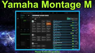 Yamaha Montage M  Guitar  ESP Expanded Softsynth Plugin  VST [upl. by Onailil309]