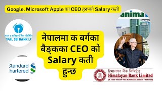 How much Bank CEO Salary । Bank CEO Salary in Nepal । Google Apple Microsoft CEO Salary [upl. by Kaufman495]