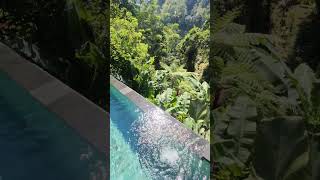 Kayon Jungle Resort Ubud Bali Premier Pool Villa Private pool jungle view bali travel luxury [upl. by Haines34]