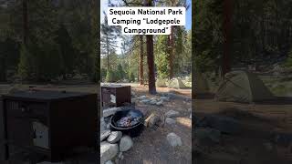 Lodgepole Campground shorts adventure explore california outdoorshoes nature fun camping [upl. by Ahsain572]