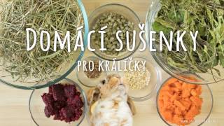 Domácí sušenky pro králíčky  recept [upl. by Brandwein897]