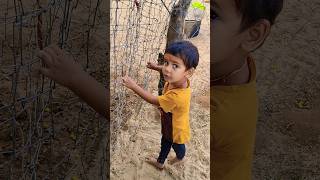 Anaya ne ye kya kiya cutebaby baby babyshorts shorts villagelife shortsfeed [upl. by Drahsir]