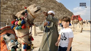 Tom gaat naar de Piramides van Gizeh in Egypte [upl. by Nysila970]