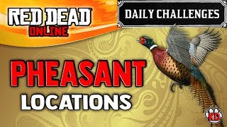 Red Dead Online  Pheasant Location  RDR2 Daily Challenge Pheasants Plucked [upl. by Rowland]