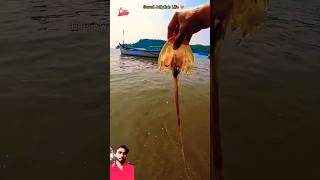 Saved Jellyfish life👻💯🤗 AvishekXyZ saved sea jellyfish life trending shorts viral [upl. by Bivins]