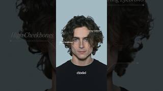 What Makes Timothee Chalamet So Attractive [upl. by Getter972]