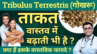 Gokhru ke fayde Tribulus Terrestris benefits Gokhru benefits Tribulus Q Homeopathic Medicine [upl. by Caryl]