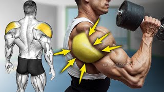 5 Best Rear Delt Exercise HUGE SHOULDERS [upl. by Glick]