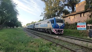 Línea San Martin  Trenes locales  Tren N°563 por Muñiz [upl. by Arielle]