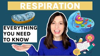 AQA ALevel Biology Respiration  Learn the Entire Topic in One Video Aerobic amp Anaerobic [upl. by Adnalay302]