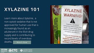 Xylazine 101 [upl. by Hyozo]