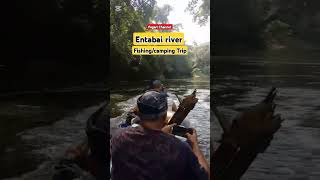 Entabai River campingfishing trip 2d1nfypshortvideo [upl. by Einahpets]