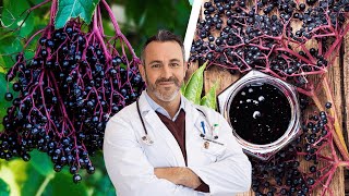 The Amazing Health Benefits of Black Elderberry [upl. by Llekcm]