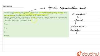 How many plants have gynoecium that is bicarpellary obligately placed and syncarpous with placen [upl. by Emelyne]