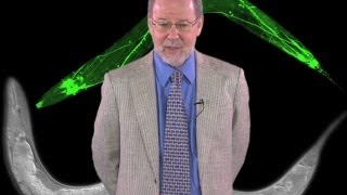 H Robert Horvitz MITHHMI Discovering Programmed Cell Death [upl. by Becki]