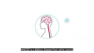 What is Neuromyelitis Optica Spectrum Disorder NMOSD [upl. by Laup20]