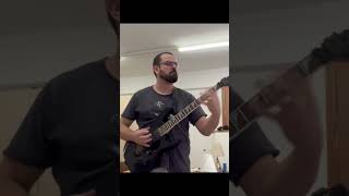 Dead skin maskSlayer guitar cover You have to live it [upl. by Isborne]