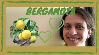 👉🏻Esencia de Bergamota Propiedades y Usos del Aceite Esencial de Bergamota 💫 [upl. by Lorou]