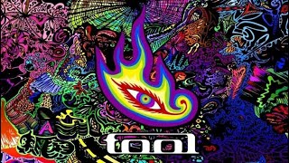 TOOL  SCHISM LYRICS VIDEO [upl. by Jaella502]