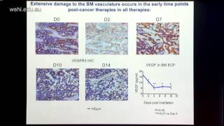 Purton 2015 Regulation of haematopoiesis by microenvironment cells [upl. by Silrac]