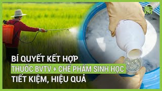 Bí quyết kết hợp thuốc BVTV và chế phẩm sinh học tiết kiệm hiệu quả  VTC16 [upl. by Hollerman]