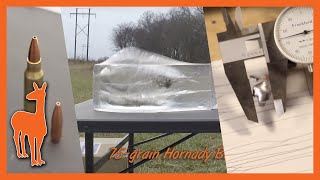 Unexpected Ballistic Gel Performance from Hornady 75Grain BTHP Match [upl. by Emmons]