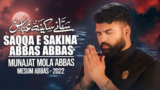 SAQQA E SAKINA ABBAS ABBAS  Mesum Abbas Nohay 2022  Muharram  Munajat Mola Abbas  Isteghasa [upl. by Nithsa]