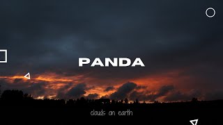 Desiigner  Panda Clean  Lyrics [upl. by Oap292]