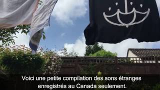 Un autre signe de la fin des temps Canada sons étranges Partie 23 [upl. by Enyalahs]